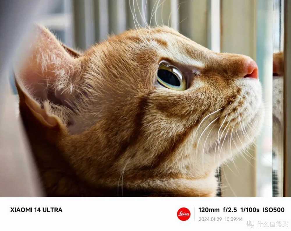 Xiaomi 14 Ultra 汇总插图12 Xiaomi 14 Ultra 汇总