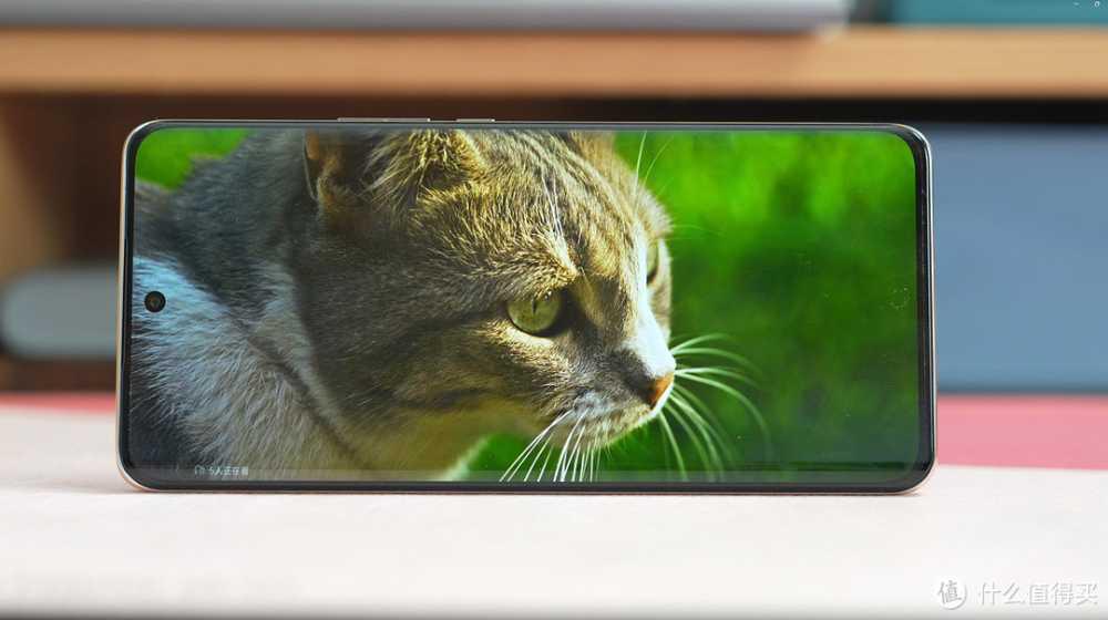 年货节最好卖的手机，居然是一款千元机