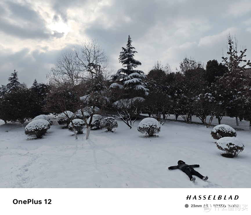 一加十周年旗舰如何，老加油入手一加12详细体验