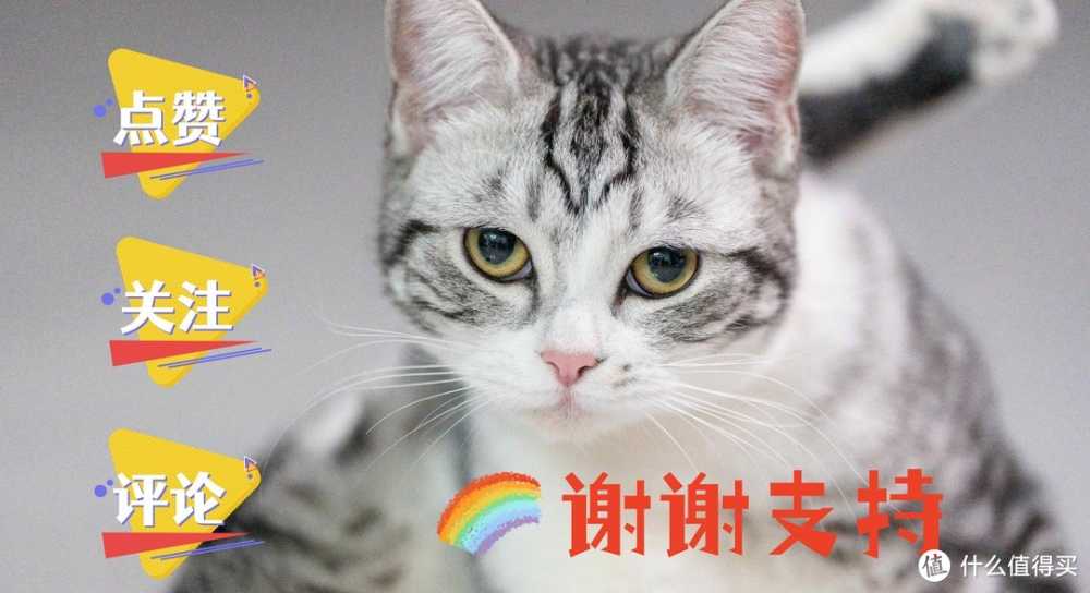 开学季,粉碎压岁钱,当然是要买手机了!适合学生党入手的几款手机推荐,看这篇就够了!插图22 开学季,粉碎压岁钱,当然是要买手机了!适合学生党入手的几款手机推荐,看这篇就够了!