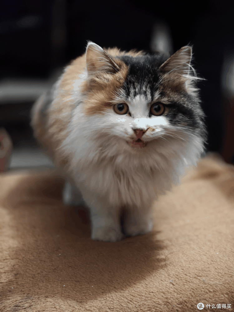 数码好物推荐 篇二十:一加12和OPPO Find X7到底怎么选?插图4 一加12和OPPO Find X7到底怎么选?