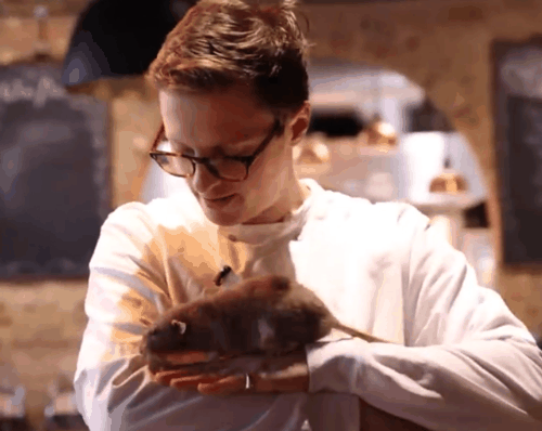 你敢吃尝尝吗！网红小哥训练老鼠当厨师：还做菜给朋友吃