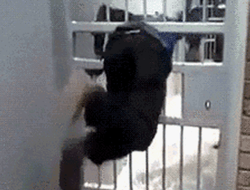 最抽象的越狱！巴西一小哥钻洞逃跑被卡住：狱警救了三小时