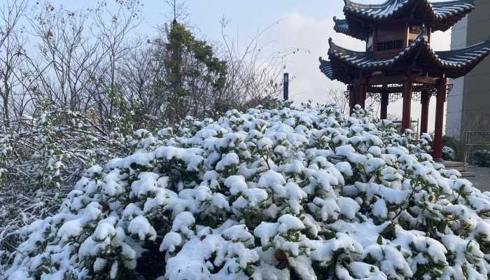 受雨雪冻雨等恶劣天气影响 湖北多所高校通知延迟返校