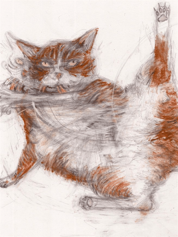 艺术家把猫画到了极致