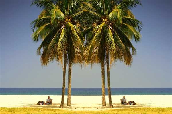 “史上最火”春节收官：国内游火爆订单量大超2019年 