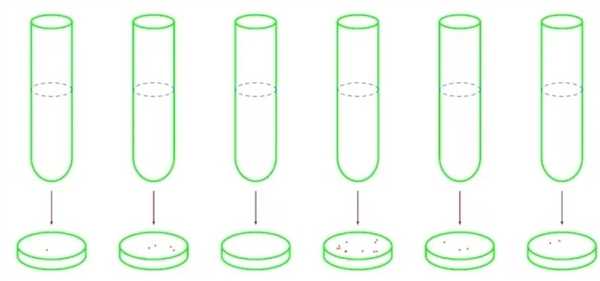 下一种抗生素可能已经毫无用处