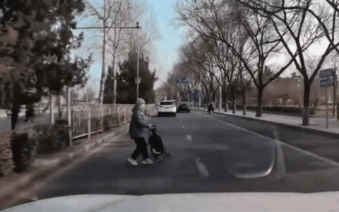 老太太绿化带中突然蹿出：问界M5 AEB紧急刹停