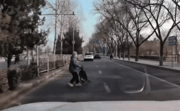 老太太绿化带中突然蹿出：问界M5 AEB紧急刹停