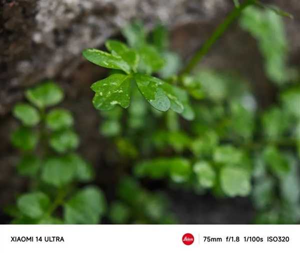 体验完小米14 Ultra:我觉得 能打败它的 只有小米15 Ultra插图23 体验完小米14 Ultra:我觉得 能打败它的 只有下一代Ultra