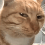 俄罗斯保安逆天操作：上班无聊竟然把艺术品吃了