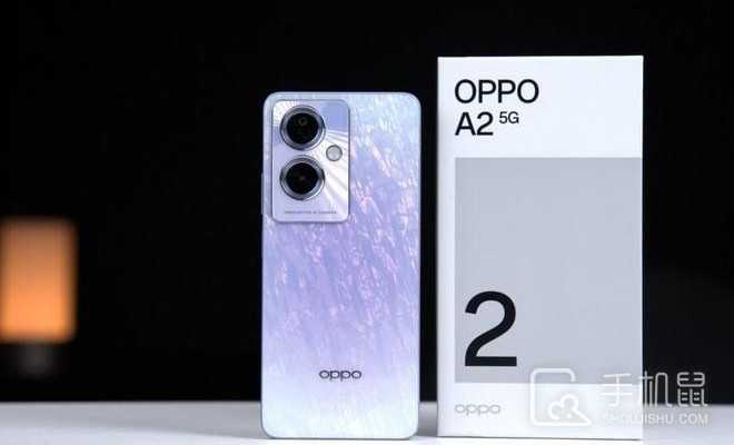 OPPO A2怎么样格式化?OPPO A2格式化方法插图 OPPO A2怎么样格式化?