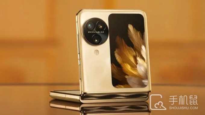 努比亚nubiaFlip有NFC功能吗?努比亚nubiaFlip支持NFC功能吗