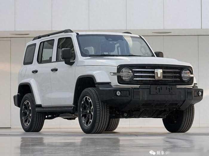 这才是坦克300完全体？或25万起售，选它还是方程豹？