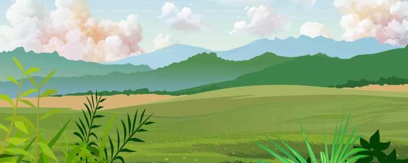 中国最大的“边境”城市,水果管够,海鲜管饱,1000元就能玩爽插图 中国最大的“边境”城市,水果管够,海鲜管饱,1000元就能玩爽