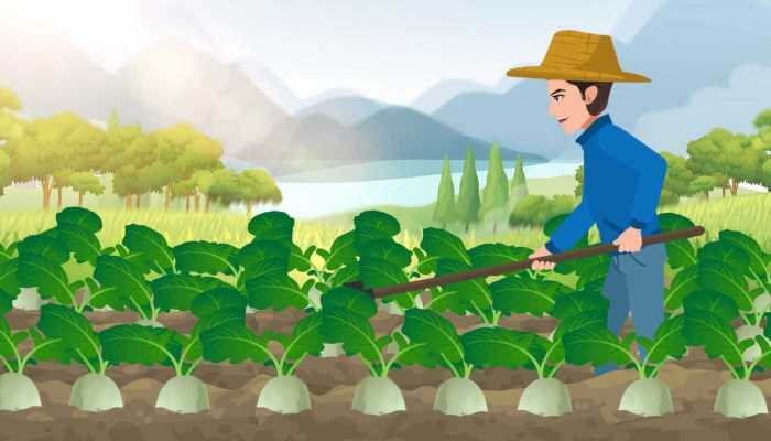 哪个节气被称为“可耕之候” 春耕即将开始的是什么节气