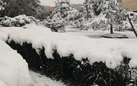 未来一周江苏将有持续雨雪天气 南京发布寒潮黄色预警