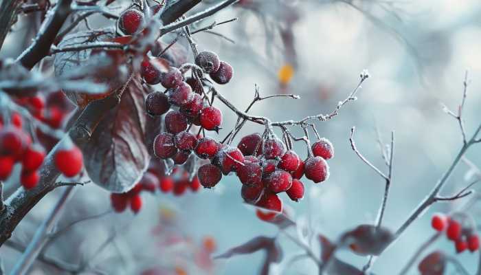 安徽雨水节气南北温差达15℃以上 受寒潮影响将有冻雨暴雨
