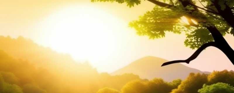 被遗忘的东北古都，一城似三城，物价地板砖，养老城市天花板