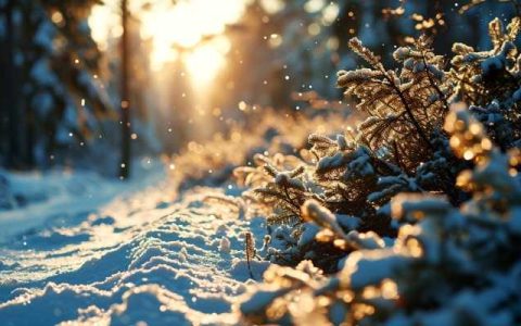 寒潮橙色预警继续发布 江南华南降温将达10至14℃