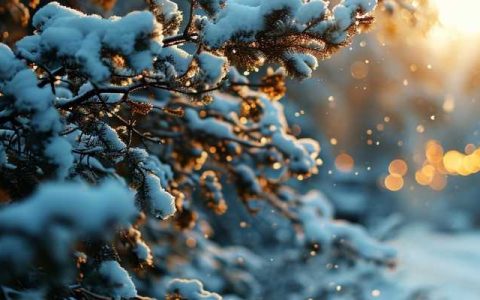 新一轮雨雪冰冻酝酿 2月一冷到底3月上旬继续冷