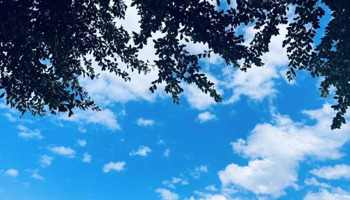 低温黄色预警继续发布 华南江南贵州等地气温将偏低7℃以上