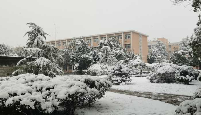 2024年2月26日国外天气预报：北美中亚等地有较强降雪