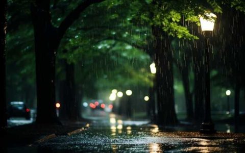 明天起南方雨势再度增强 本周内中东部有冷空气活动