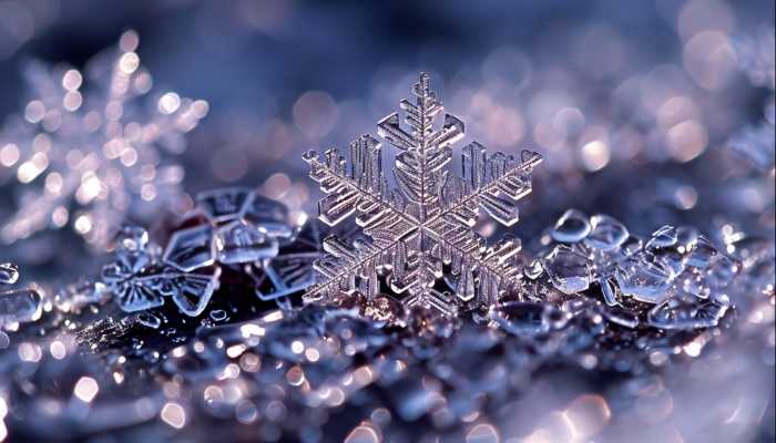 安徽一女子发视频称30年来第一次见到“味精”状的雪花 像味精又像长粒大米插图1 安徽一女子发视频称30年来第一次见到“味精”状的雪花 像味精又像长粒大米