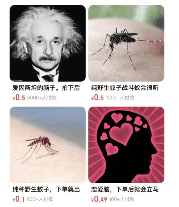 “爱因斯坦的脑子”、“野生蚊子”热卖后 专家质疑：规则不能乱