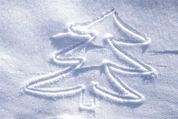 哈尔滨本地人开始逛吃逛吃了 网友:尔滨启动收复失地计划插图 哈尔滨本地人开始逛吃逛吃了 网友:尔滨启动收复失地计划