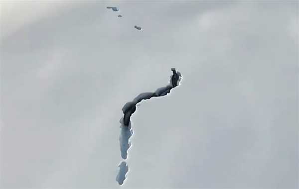 新疆狼群在积雪下硬生生挖出一条路：真团队精神