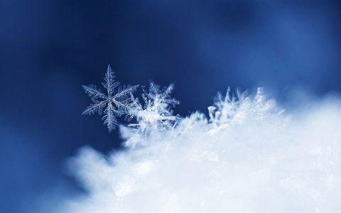 网红大雪人开启年假模式：跟大家说再见了