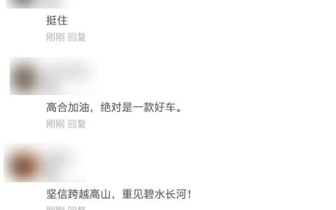 车主称高合是中国汽车的骄傲 奔驰和保时捷后来都卖了