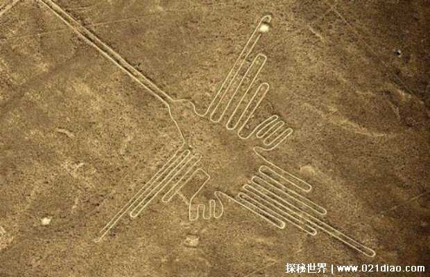 纳斯卡线条的真相（世界上最大的天书）