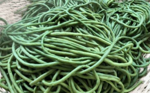 新鲜豆角怎么晒制干菜?干豆角要晒多久