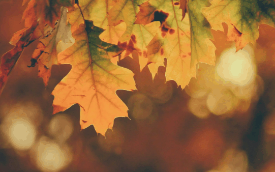 2022立秋后晚上还热吗?2022立秋之后晚上会凉快吗