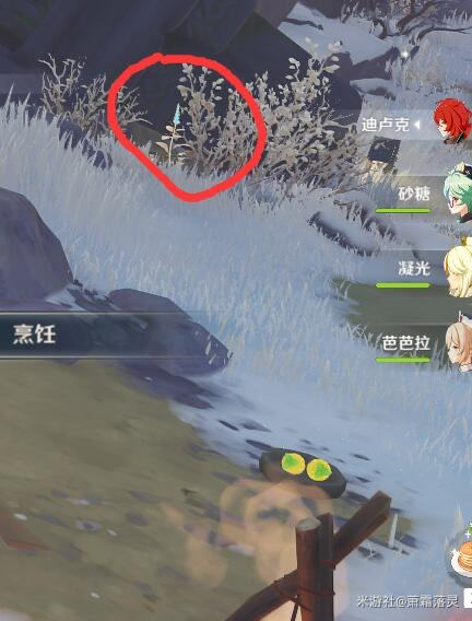 16993254776549a625c81215.27506763