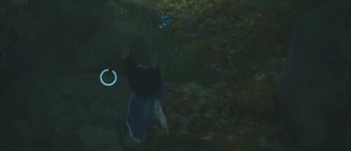 17029800962023121910013675 17029800962023121910013675