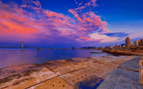 2024年大连4月份能赶海吗?大连什么时候赶海最合适