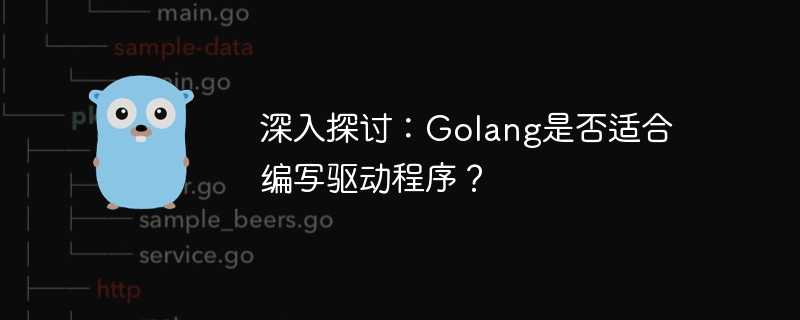 深入探讨：Golang是否适合编写驱动程序？
