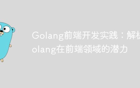 Golang前端开发实践：解析Golang在前端领域的潜力