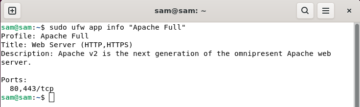 如何修复UFW状态在Linux中显示为非活动