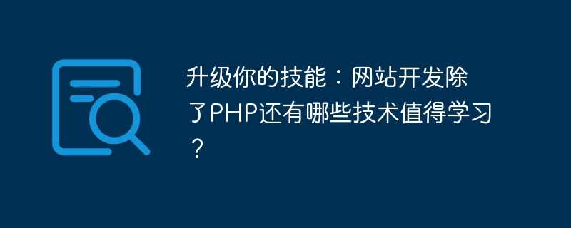 升级你的技能：网站开发除了PHP还有哪些技术值得学习？