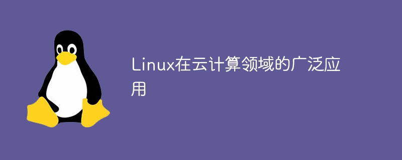 Linux在云计算领域的广泛应用插图 linux在云计算领域的广泛应用