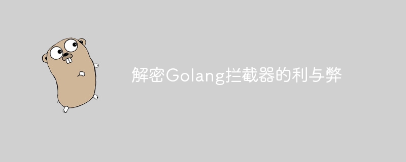 解密Golang拦截器的利与弊
