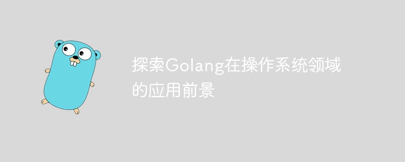探索Golang在操作系统领域的应用前景