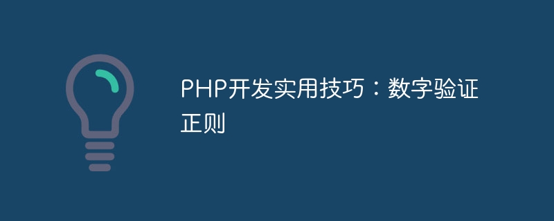 PHP开发实用技巧：数字验证正则