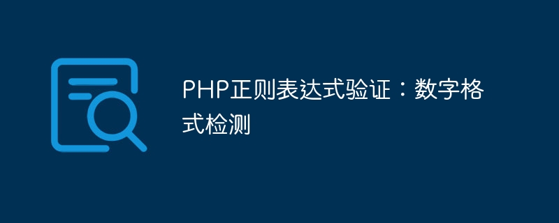 PHP正则表达式验证：数字格式检测