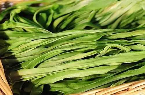 蚂蚁庄园3月22日:涮火锅时常见的贡菜究竟是什么菜